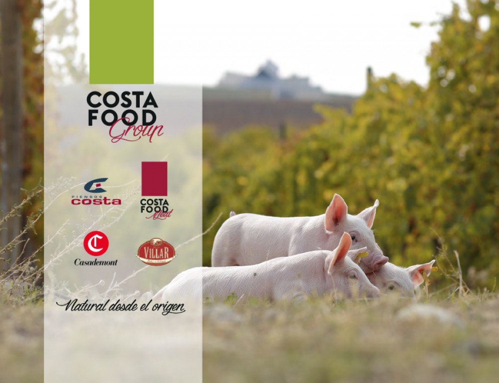 Costa Food Meat · Aenor Animal Welfare among Pigs Report: Engagement with  the Sector + Guarantee for the Consumer + Costa Food Group Experience